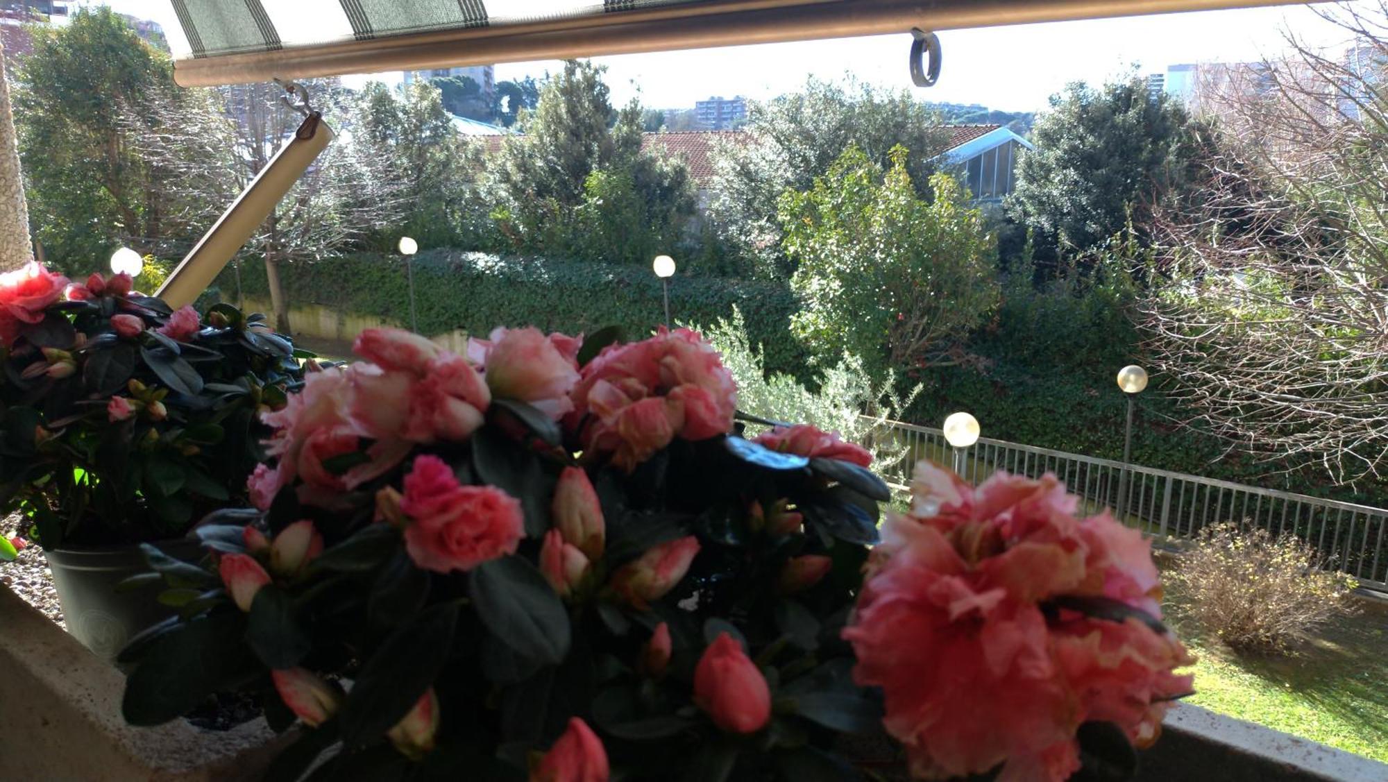 Azimuth - Holiday And Business Rome Extérieur photo